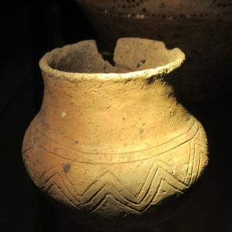 Lezingenserie - Ontdek de archeologische musea van Nederland