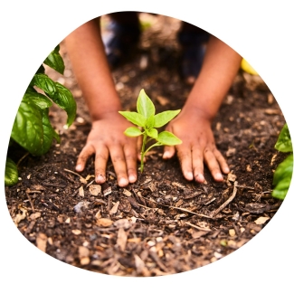 De taal van je tuin leren verstaan