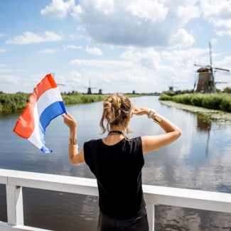 Nederlands naar de top (C2)