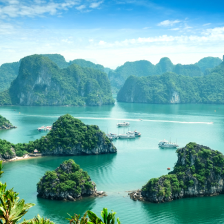 Vietnamees beginners 1