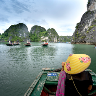 Vietnamees half-gevorderden 1